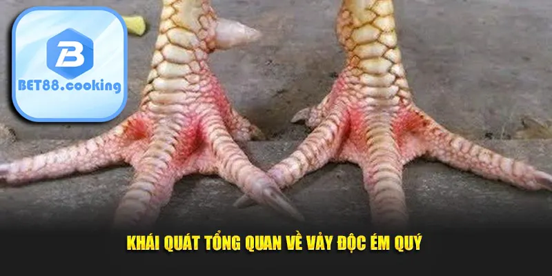 Khái quát tổng quan về vảy độc ém quý