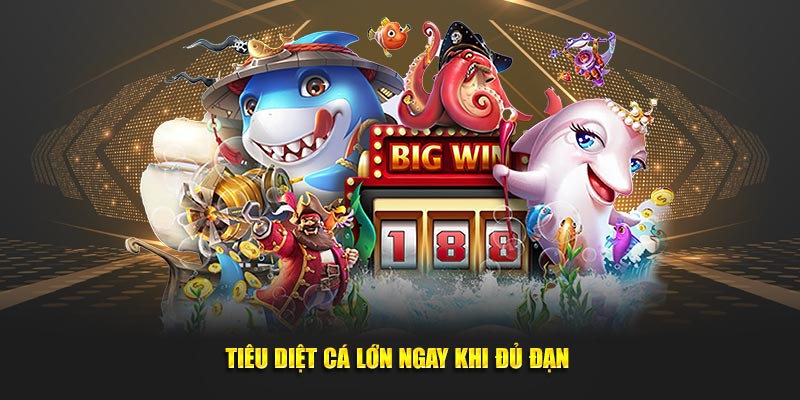 Tiêu diệt cá lớn ngay khi đủ đạn